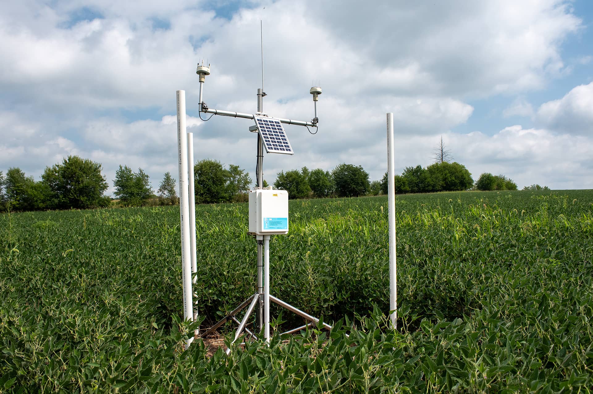 A hydrologic monitoring station (hydrostation) measures rainfall, wind speed and direction, soil moisture and temperature, and water levels in a shallow groundwater well.