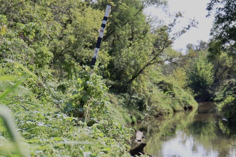 Green trees and bushes hang over a river
