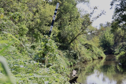 Green trees and bushes hang over a river