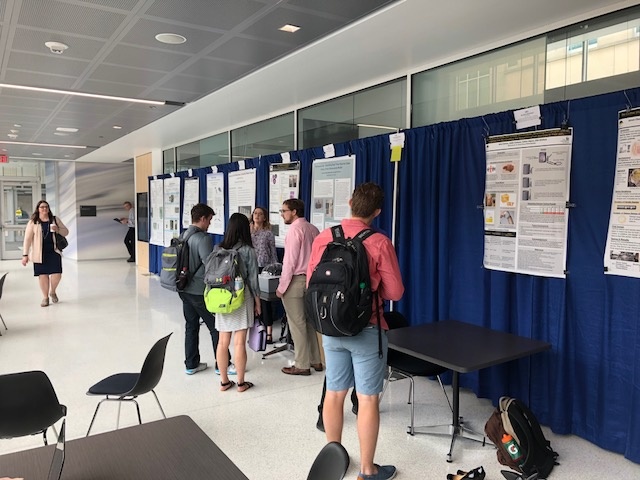 students gathering in hallway looking at research posters