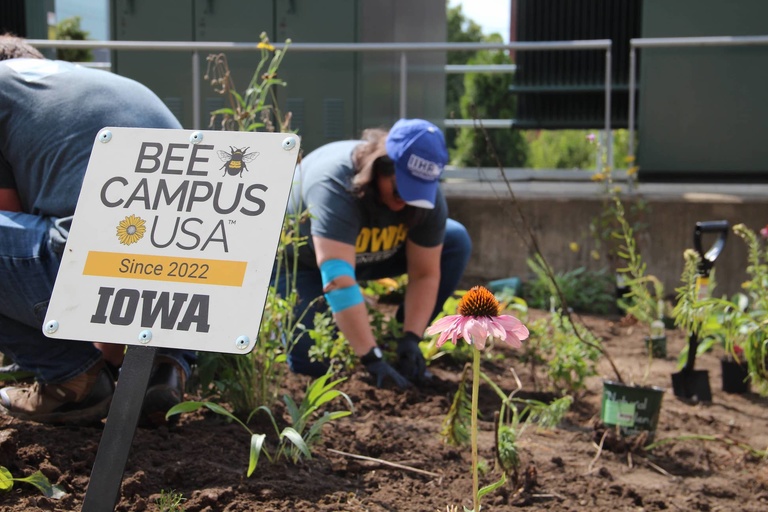 A sign reading "Bee Campus USA" 