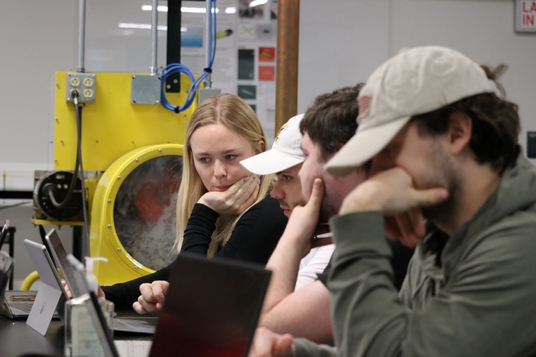 Students looking at their laptops