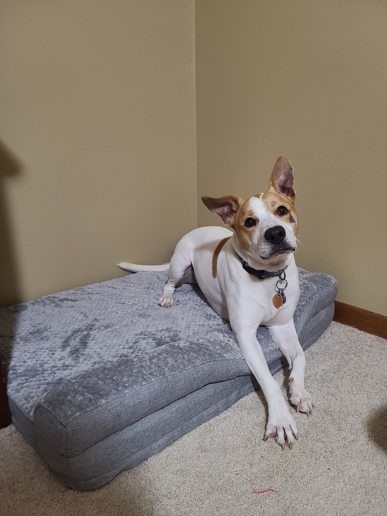 emily-eggers-pic2-family