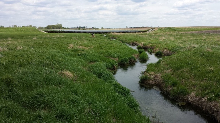 A drainage creek runs through a green Iowa landscape