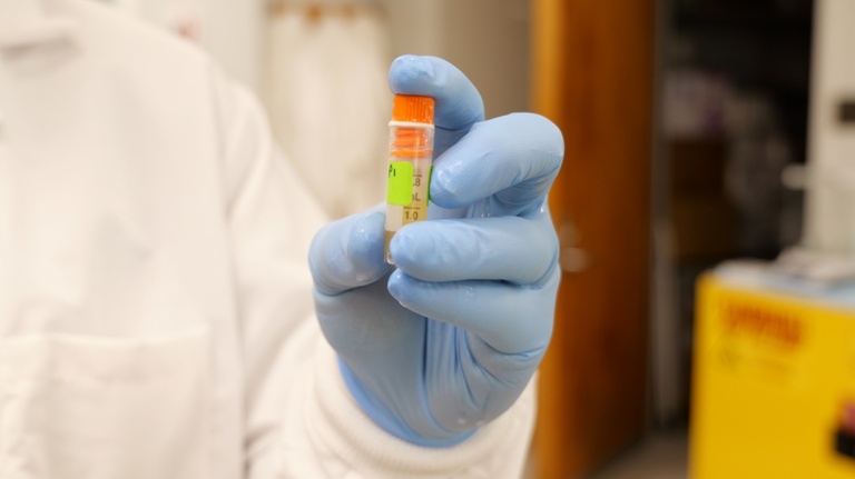 Closeup of a small vile being held by a hand with blue gloves