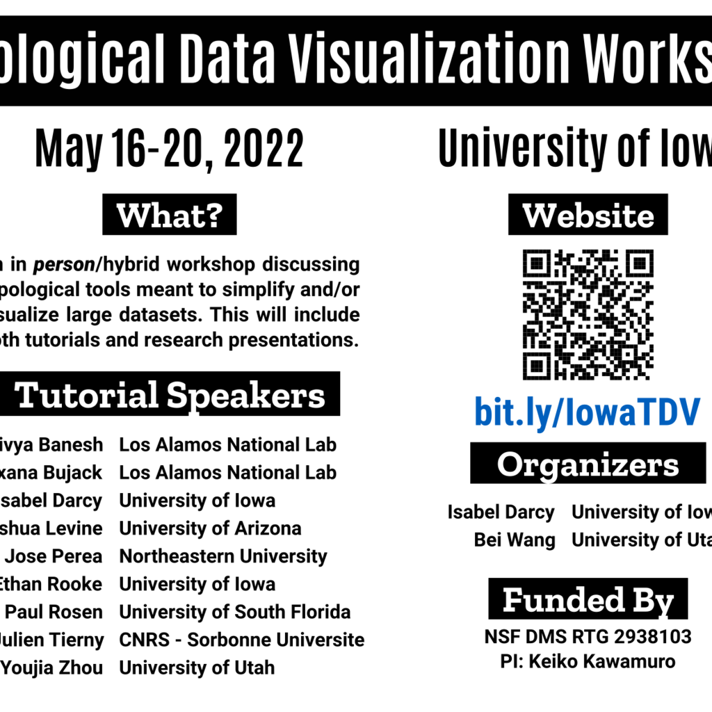 Topological Data Visualization Workshop promotional image
