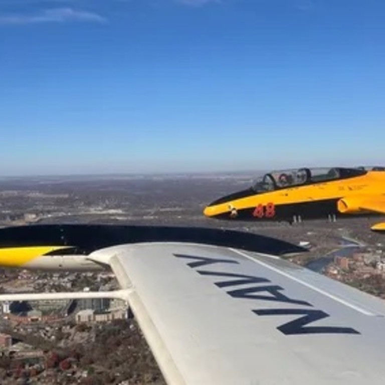 White wing in foreground with gold and blue jet in background, both soaring urban slandscape
