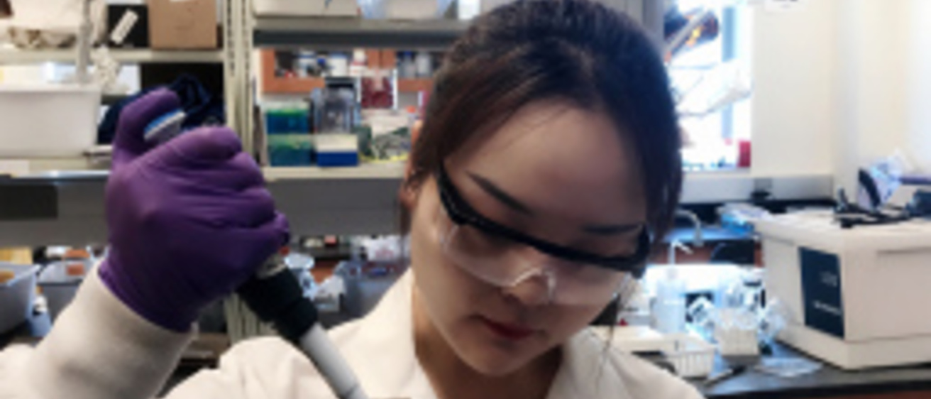 Hui Zhi doing lab work