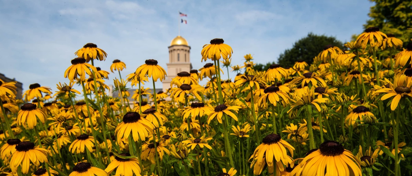 Flowers growing in front of the Old Capitol