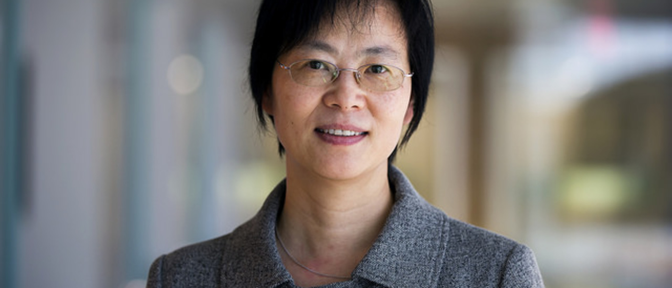 Professor Judy Jin