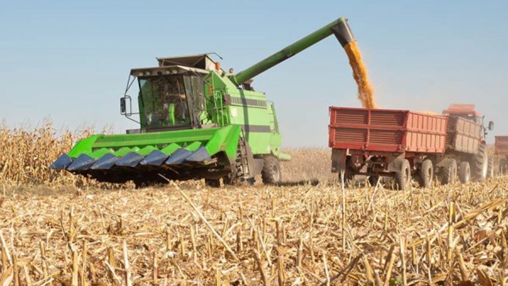 Farming equipment in a cornfield 