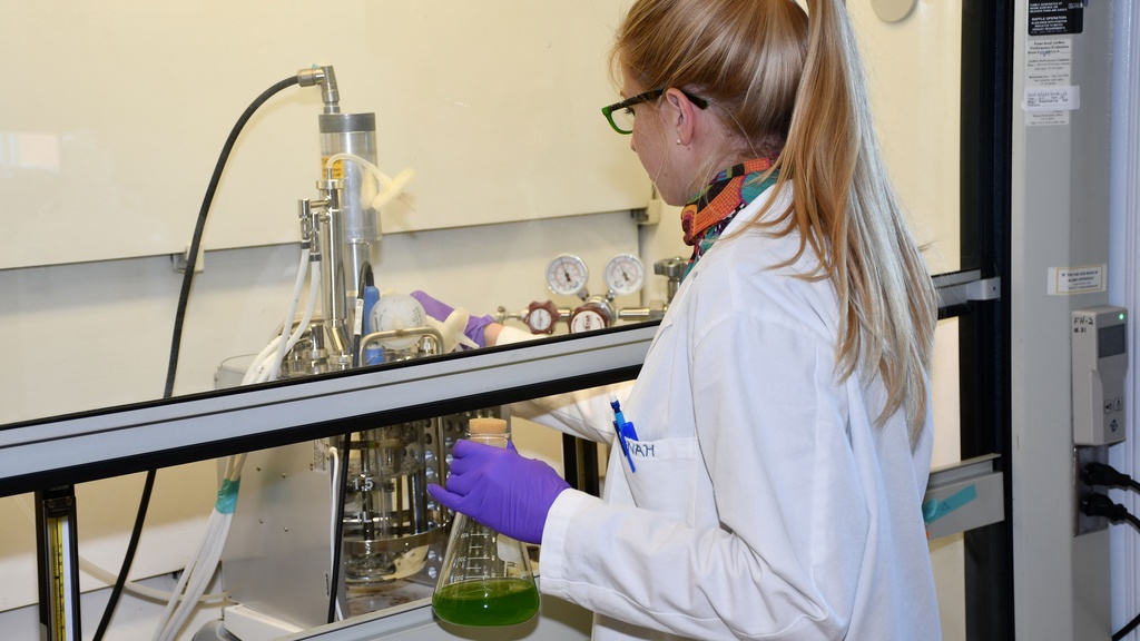 Hannah Molitor working in a lab