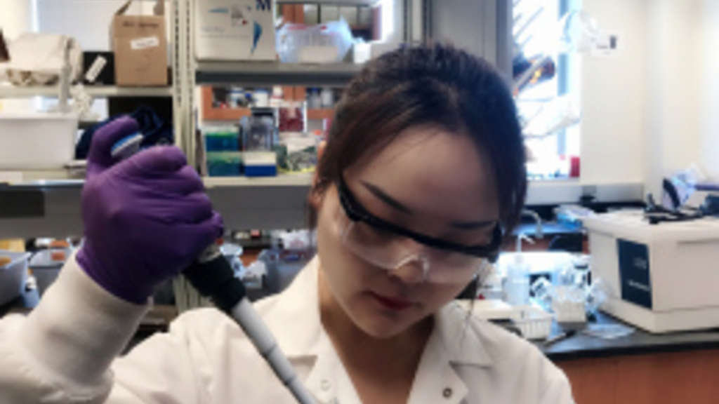 Hui Zhi doing lab work
