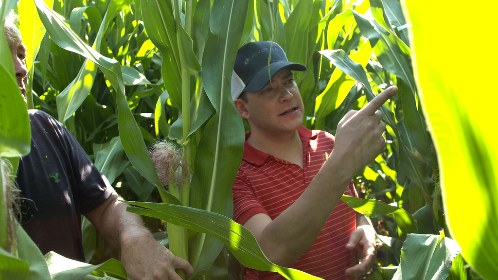Karsten Temme standing in a corn field
